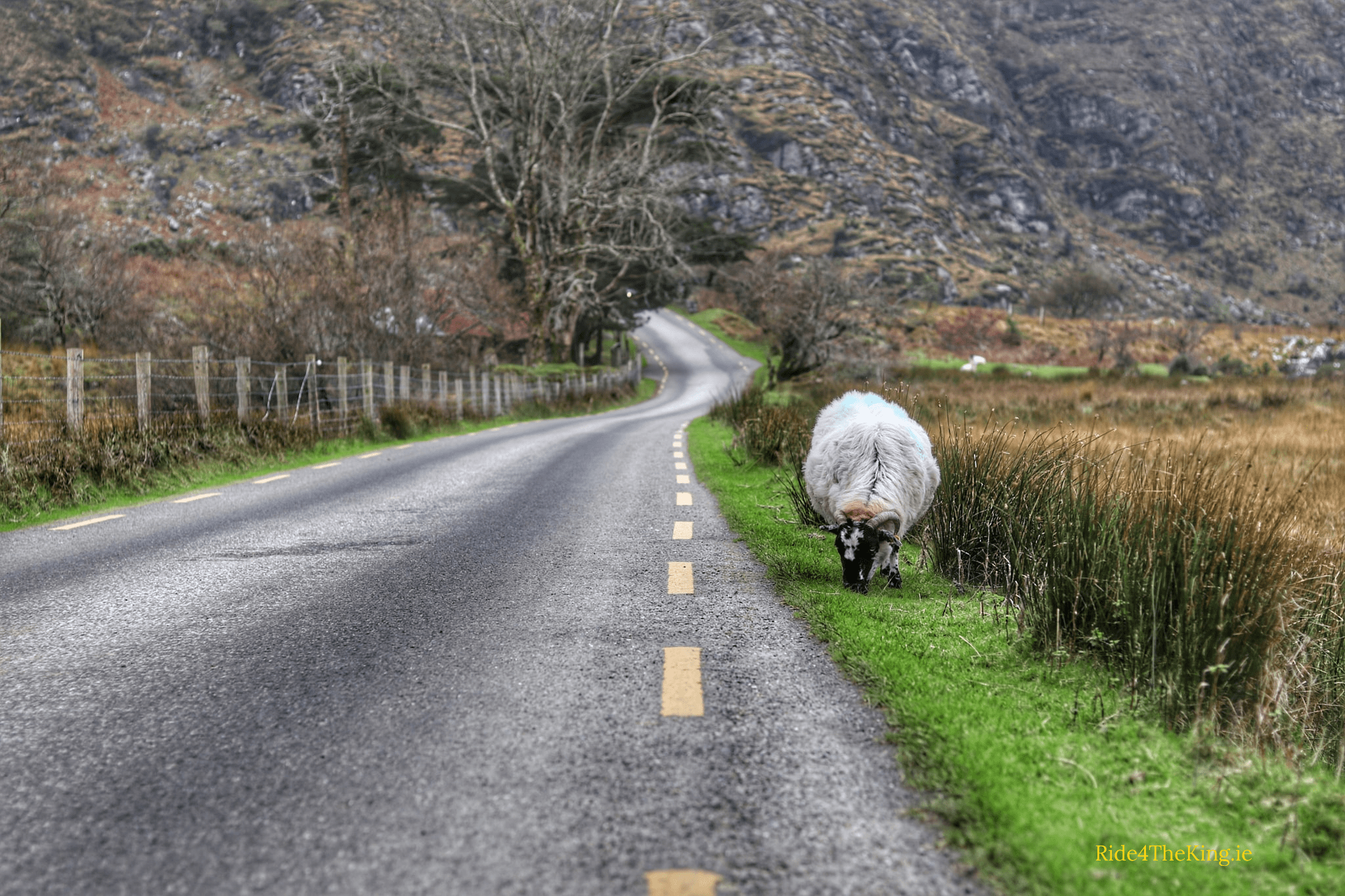 road in ireland